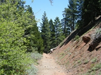 Bighorn Mine Trail - Wrightwood CA Hiking