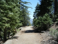 Bighorn Mine Trail - Wrightwood CA Hiking