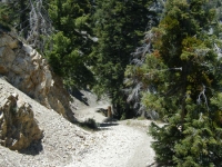 Bighorn Mine Trail - Wrightwood CA Hiking