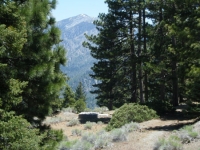 Bighorn Mine Trail - Wrightwood CA Hiking