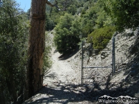 Bighorn Mine Trail - Wrightwood CA Hiking