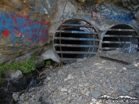 Mining tunnels on Bighorn Mine Trail - Wrightwood CA Hiking