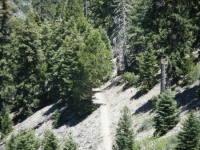 Mine Gulch Trail as it descends into Vincent Gulch after split with Bighorn Mine Trail - Wrightwood CA Hiking