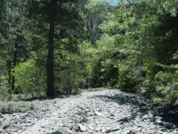 Acorn Trail in Acorn Canyon - Wrightwood CA Hiking