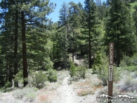 Acorn Trail in Acorn Canyon - Wrightwood CA Hiking