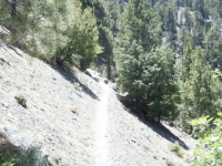Climbing the hillside on Acorn Trail - Wrightwood CA Hiking