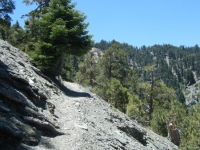 Climbing out of Acorn Canyon on Acorn Trail - Wrightwood CA Hiking