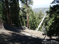 Switchbacks on Acorn Trail - Wrightwood CA Hiking