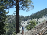 Acorn Trail switchback overlooking the landslide on Wright Mountain - Wrightwood CA Hiking