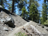 Acorn Trail - Wrightwood CA Hiking
