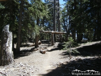 Near top of Acorn Trail - Wrightwood CA Hiking