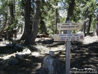 Top of Acorn Trail where it intersects with the Pacific Crest Trail (PCT) - Wrightwood CA Hiking