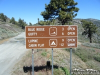 Start of Blue Ridge Road from Inspiration Point - Wrightwood CA Mountains