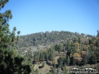 Table Mountain - Wrightwood CA Mountains