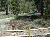 Mc Clellan Flat on Table Mountain - Wrightwood CA Mountains