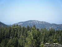 Table Mountain - Wrightwood CA Mountains