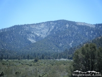 Wright Mountain - Wrightwood CA