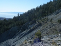 Landslide on Wright Mountain - Wrightwood CA Mountains