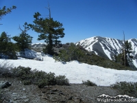 North Backbone Trail on Pine Mountain with Mt Baldy in the background. - Wrightwood CA Mountains