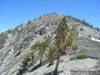 Looking up at Pine Mountain from the North Backbone Trail in the Pine Mountain/Dawson Peak saddle. - Wrightwood CA Mountains