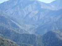 Pine Mountain towering above Prairie Fork - Wrightwood CA Mountains