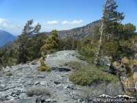 North Backbone Trail on Dawson Peak, looking toward Pine Mountain - Wrightwood CA Mountains
