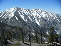 Mt Baldy (San Antonio) - Wrightwood CA