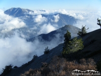 Mt Baldy (upper left) and Iron Mountain (center) surrounded by clouds, as viewed from peak of Mt Baden Powell - Wrightwood CA Mountains