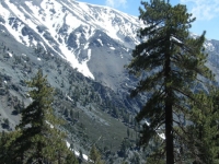 Mt Baldy (Mt San Antonio) from Dawson Peak Trail - Wrightwood CA Mountains