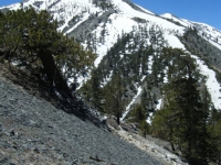 Mt Baldy as viewed from North Backbone Trail on descent from Dawson Peak - Wrightwood CA Mountains