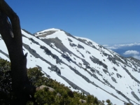 Snow on north face of Mt Baldy - Wrightwood CA Mountains