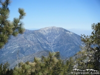 Mount Baden Powell framed with Pine Trees - Wrightwood CA Mountains