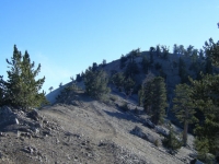 Ridge line near the peak of Mt Baden Powell - Wrightwood CA Mountains