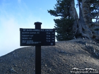 Trail junction near peak of Mt Baden Powell - Wrightwood CA Mountains