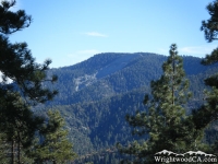 Wright Mountain/Blue Ridge framed with trees - Wrightwood CA Mountains