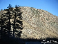 Burnt trees in front of Circle Mountain - Wrightwood CA Mountains