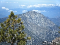 Iron Mountain framed with a pine tree - Wrightwood CA Mountains