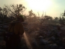 Oasis Fire - Wrightwood CA Photos