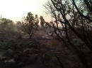 Oasis Fire - Wrightwood CA Photos