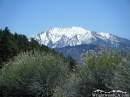 Mt. Baldy in Spring as viewed from Grassy Hollow area. - Wrightwood CA Photos