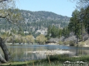 Jackson Lake in Spring. - Wrightwood CA Photos