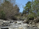 Creek flowing through Wrightwood in Spring. - Wrightwood CA Photos