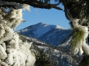 Pine Mountain framed in frozen pine tree branches. - Wrightwood CA Photos