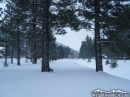 Snowfall in Wrightwood - Wrightwood CA Photos