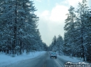 Driving on Highway 2 during a Winter storm. - Wrightwood CA Photos