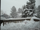 Snowing again in Wrightwood. - Wrightwood CA Photos