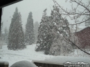 Snowing in Residential area of Wrightwood. - Wrightwood CA Photos