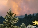 Fire and smoke around Circle Mountain. - Wrightwood CA Photos