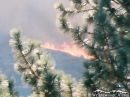 Flames from Sheep Fire climbing Circle Mountain. - Wrightwood CA Photos