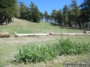 Grass toward the top of Mt High